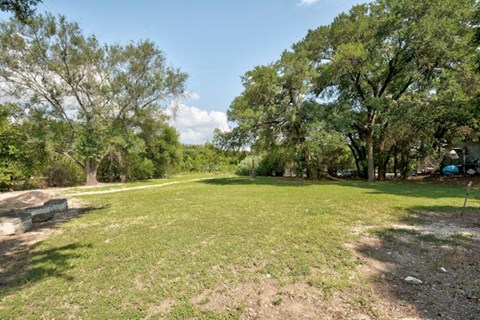 A grassy field with trees in the background.